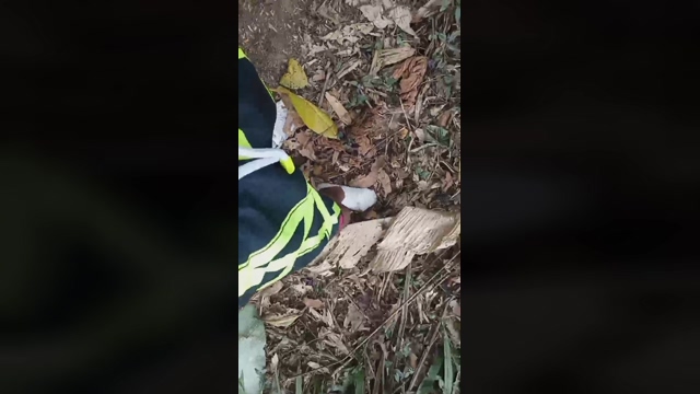 Master_piss  20-02-2022
